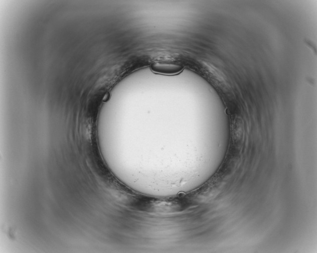 X0000093390315200710251247