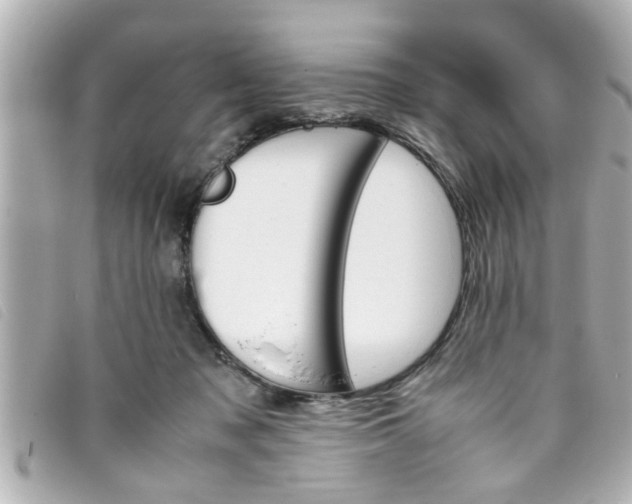 X0000093390317200710251247