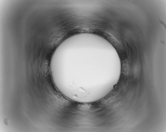 X0000093390318200710251247