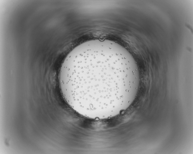 X0000093390319200710251247