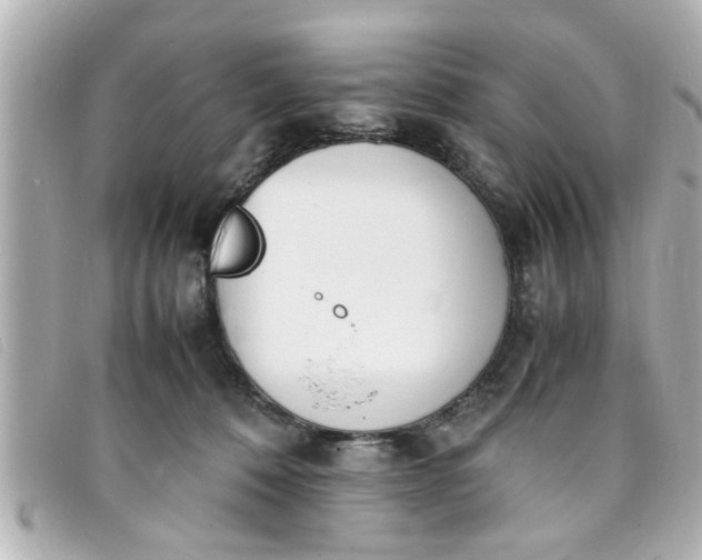 X0000093390320200710251247