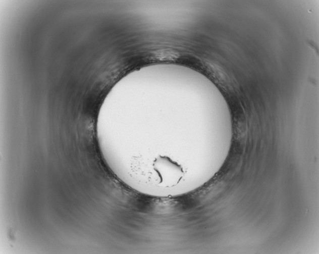 X0000093390321200710251247