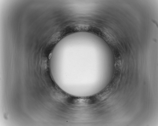 X0000093390323200710251247