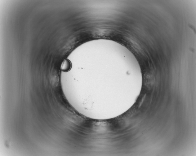 X0000093390324200710251247