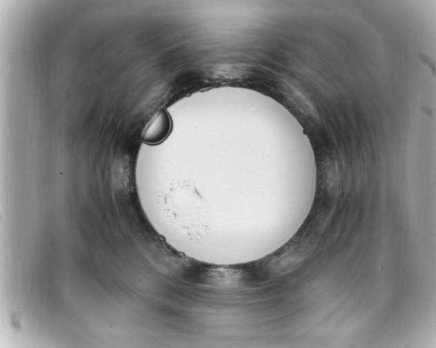 X0000093390328200710251247