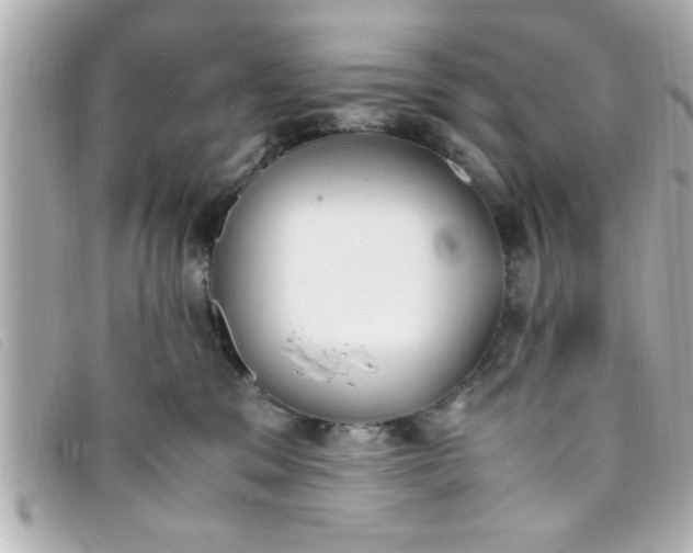 X0000093390329200710251247