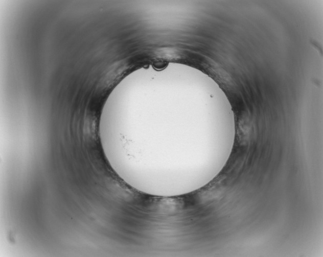 X0000093390330200710251246