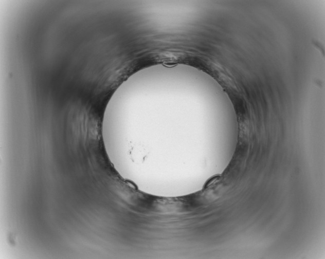 X0000093390331200710251246