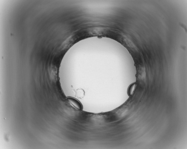 X0000093390332200710251246