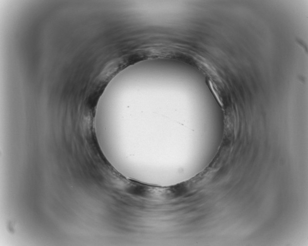 X0000093390333200710251246