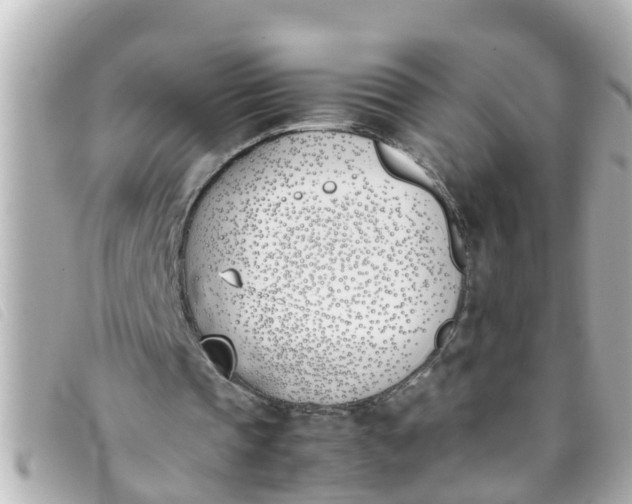 X0000093390337200710251246