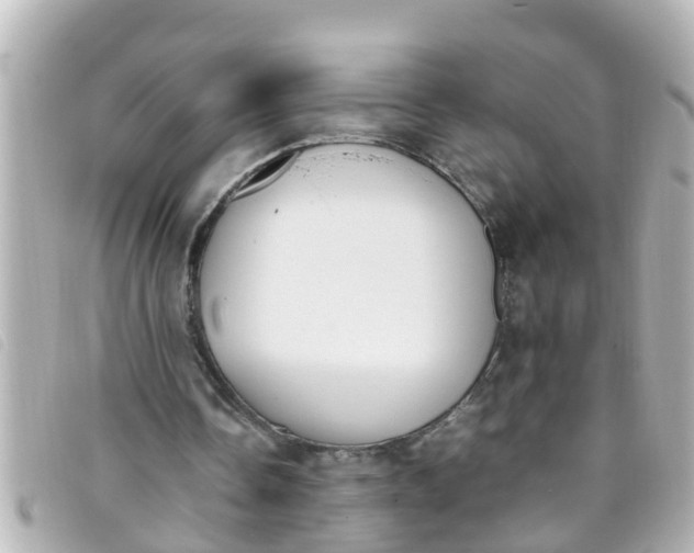 X0000093390338200710251246