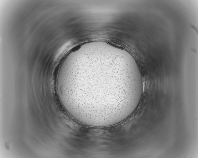 X0000093390339200710251246