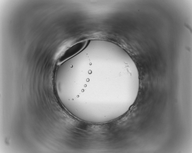 X0000093390341200710251246