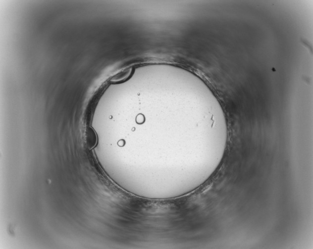 X0000093390343200710251246