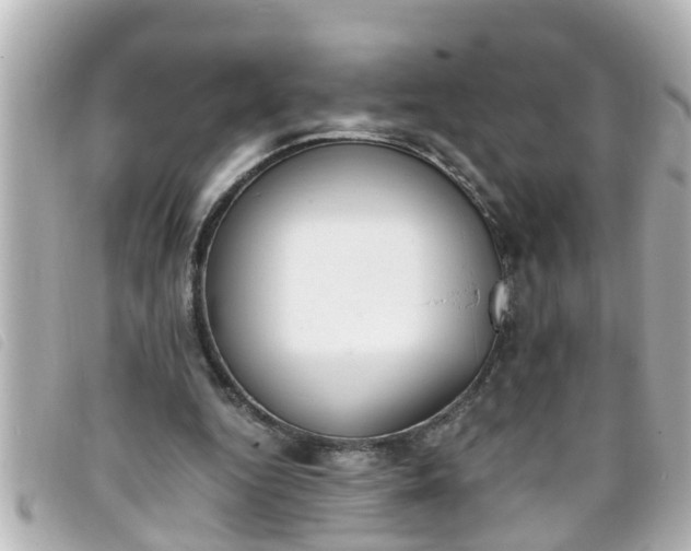 X0000093390344200710251246