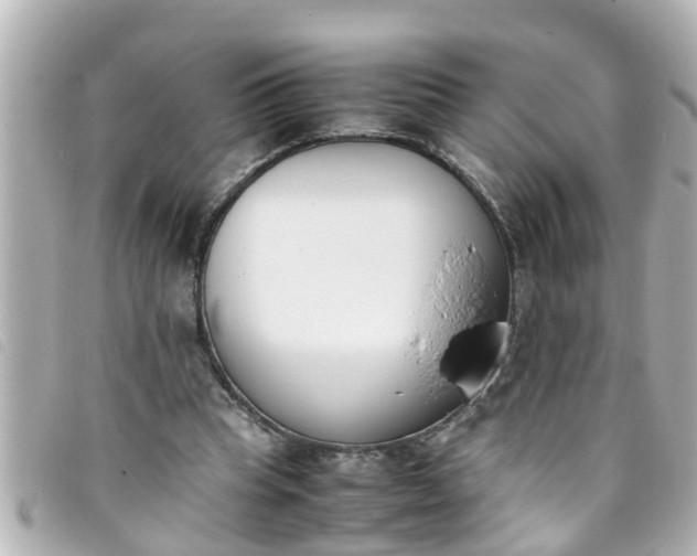 X0000093390345200710251246