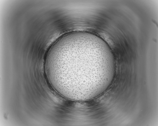 X0000093390346200710251246