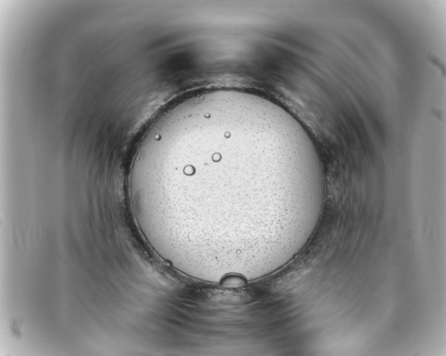 X0000093390347200710251246