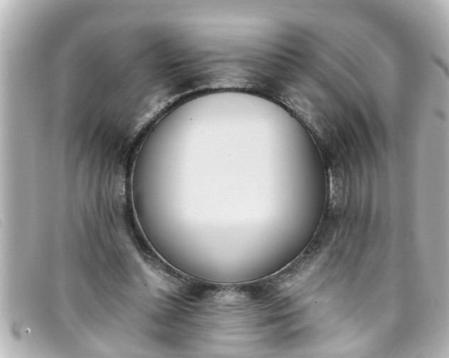 X0000093390348200710251246