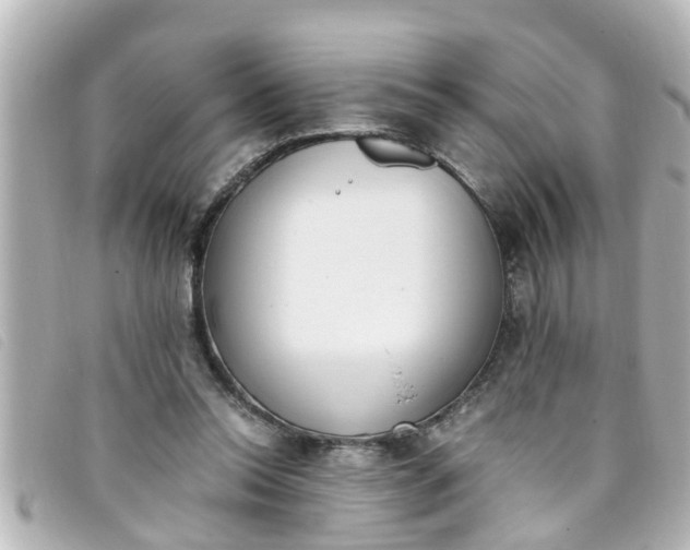 X0000093390350200710251246