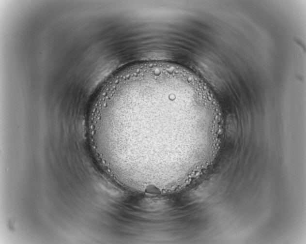 X0000093390351200710251246