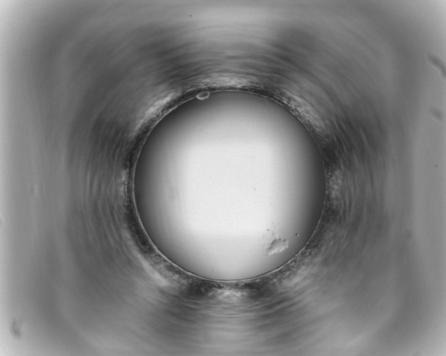 X0000093390352200710251246