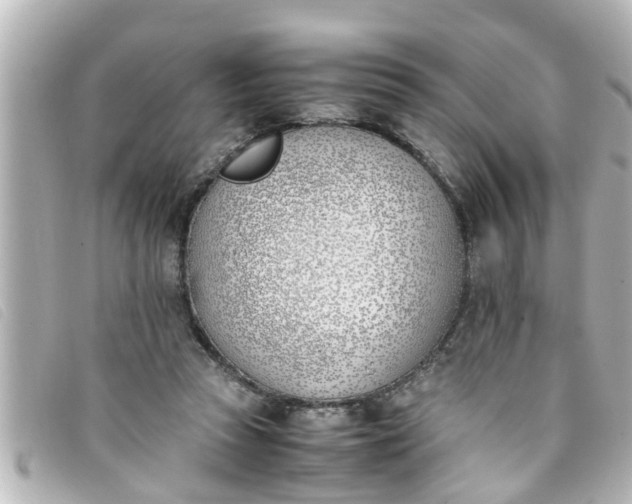 X0000093390353200710251246