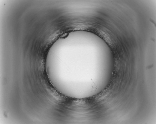 X0000093390354200710251246