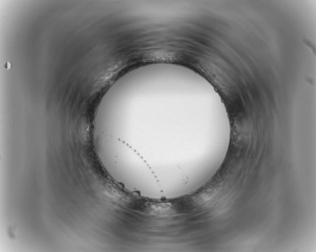 X0000093390355200710251246