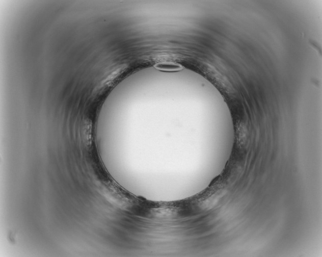 X0000093390356200710251246