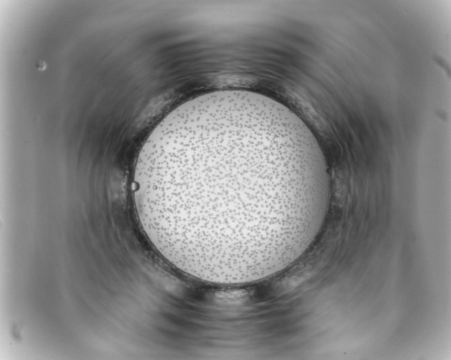 X0000093390357200710251246