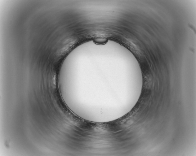 X0000093390358200710251246