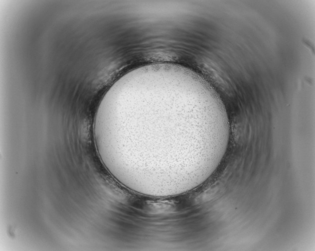 X0000093390359200710251246