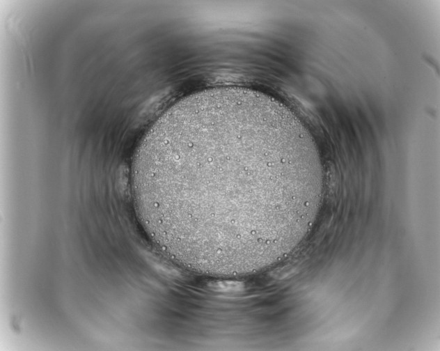 X0000093390361200710251246