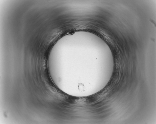 X0000093390362200710251246