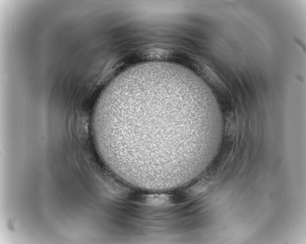 X0000093390363200710251246