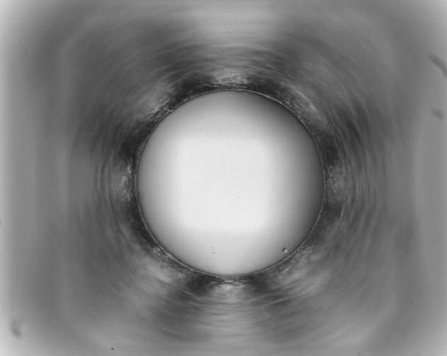 X0000093390364200710251246