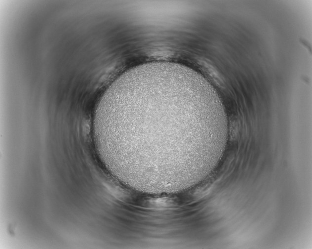 X0000093390365200710251246