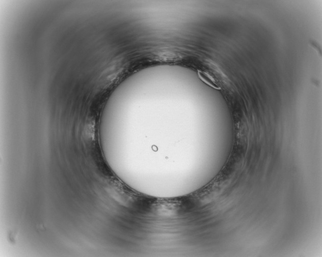 X0000093390368200710251246