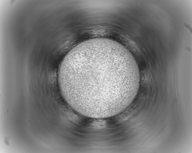 X0000093390369200710251246