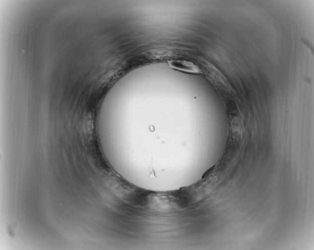 X0000093390372200710251246