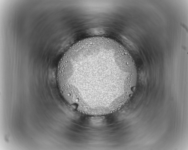 X0000093390373200710251246