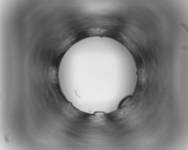 X0000093390378200710251246