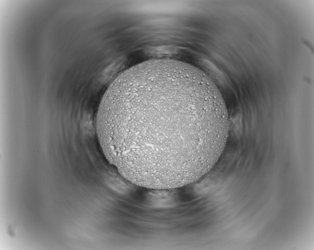 X0000093390381200710251246