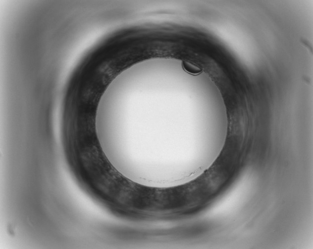 X0000093390383200710251246