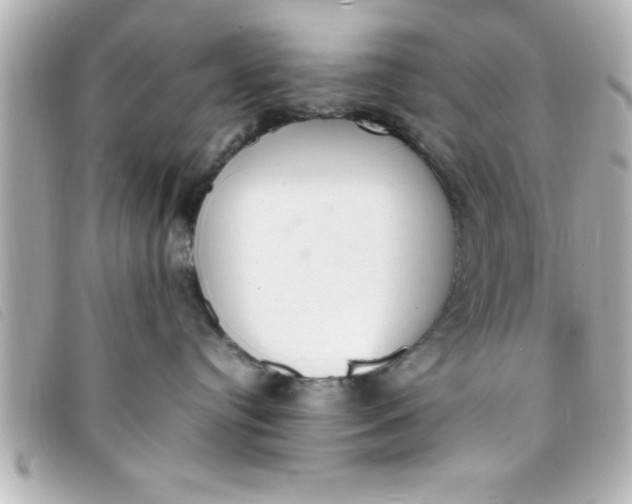 X0000093390384200710251246