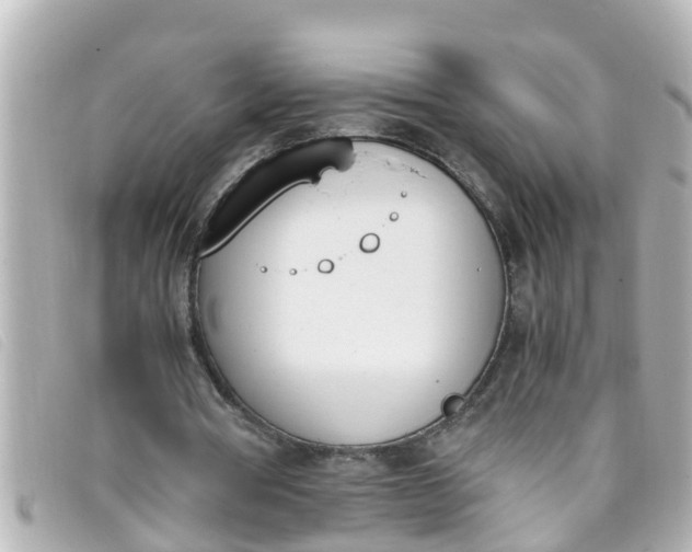 X0000093390386200710251246