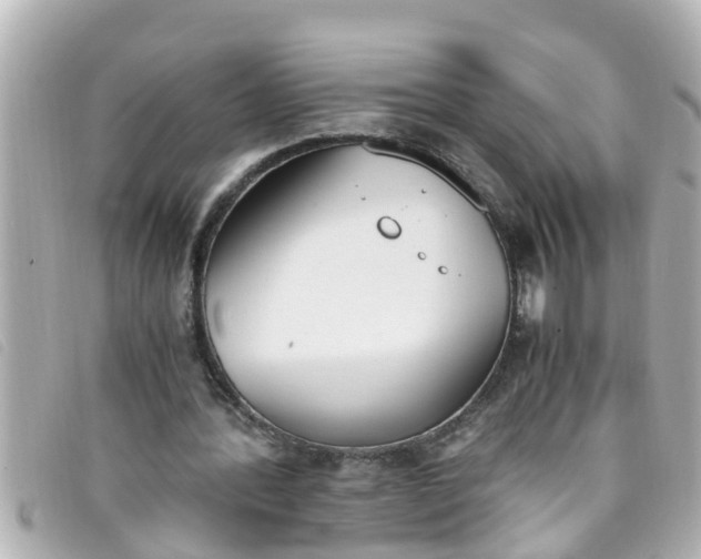 X0000093390388200710251246