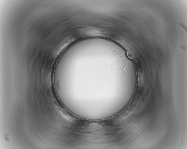 X0000093390390200710251246